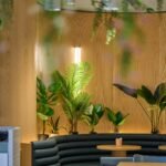 pexels gaurav kumar 1281378 33314820