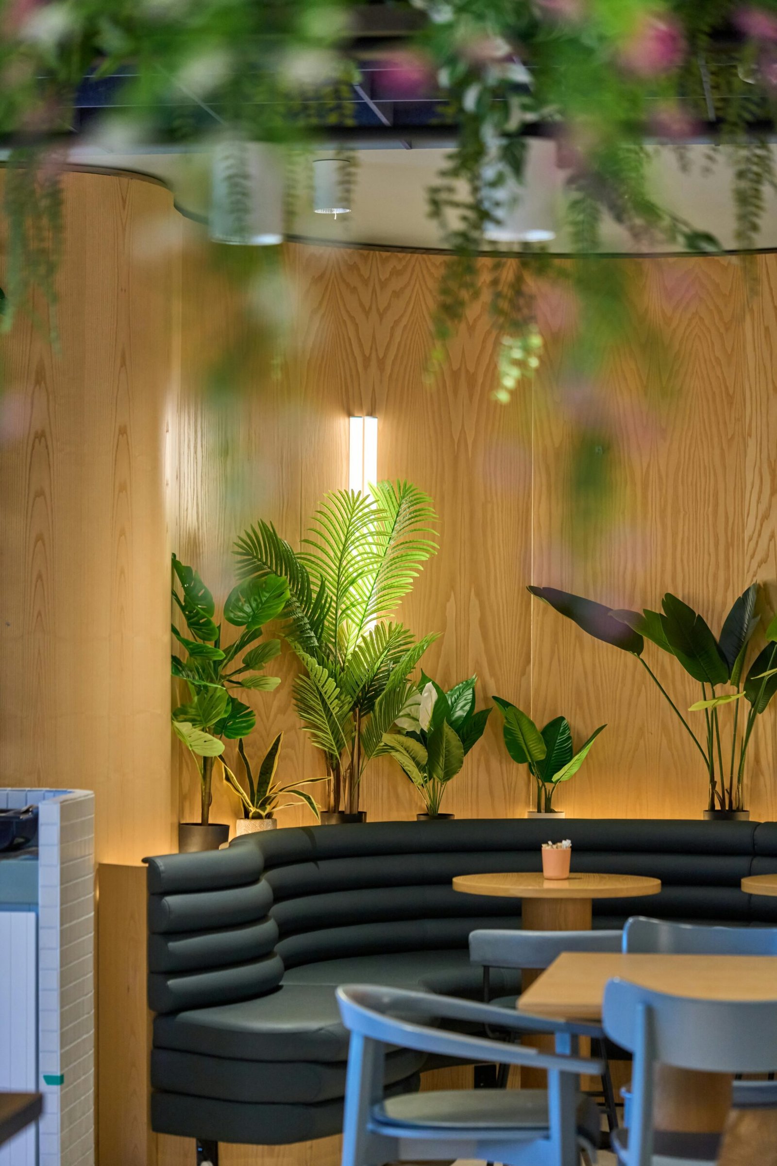 pexels gaurav kumar 1281378 33314820